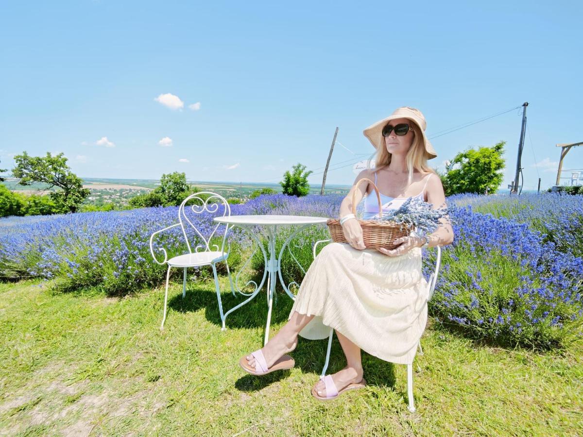 Levendulaszat Simontornya エクステリア 写真